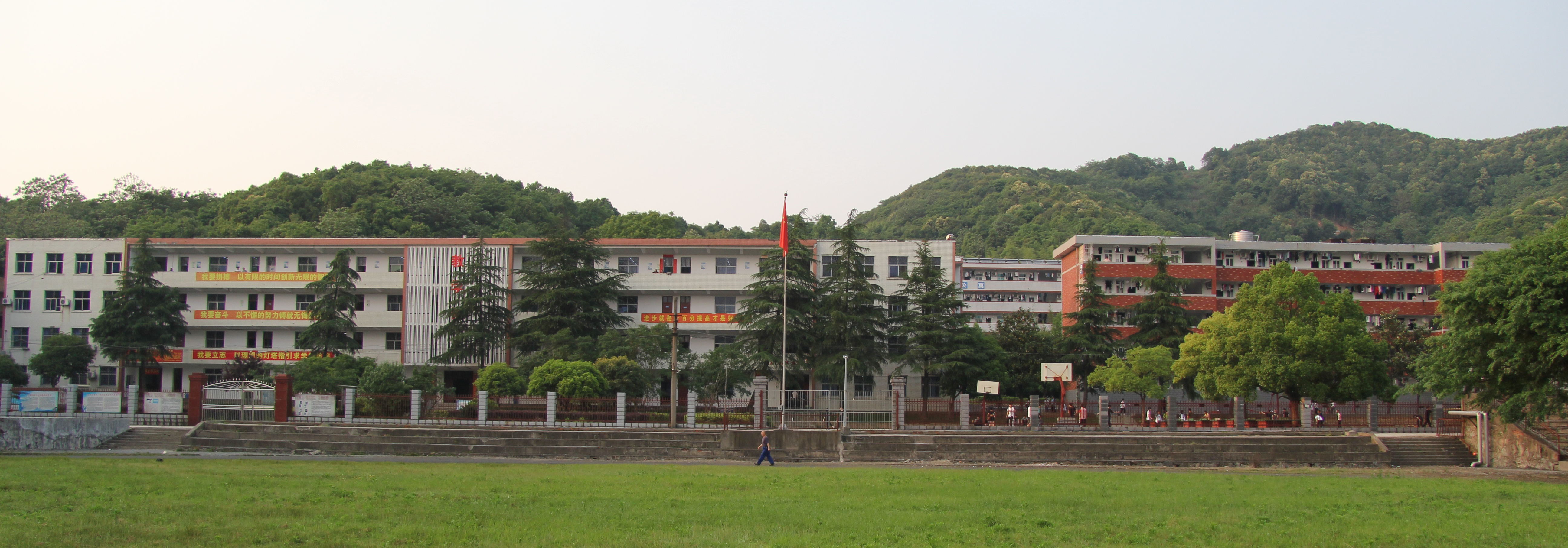 3643000336_1.jpg